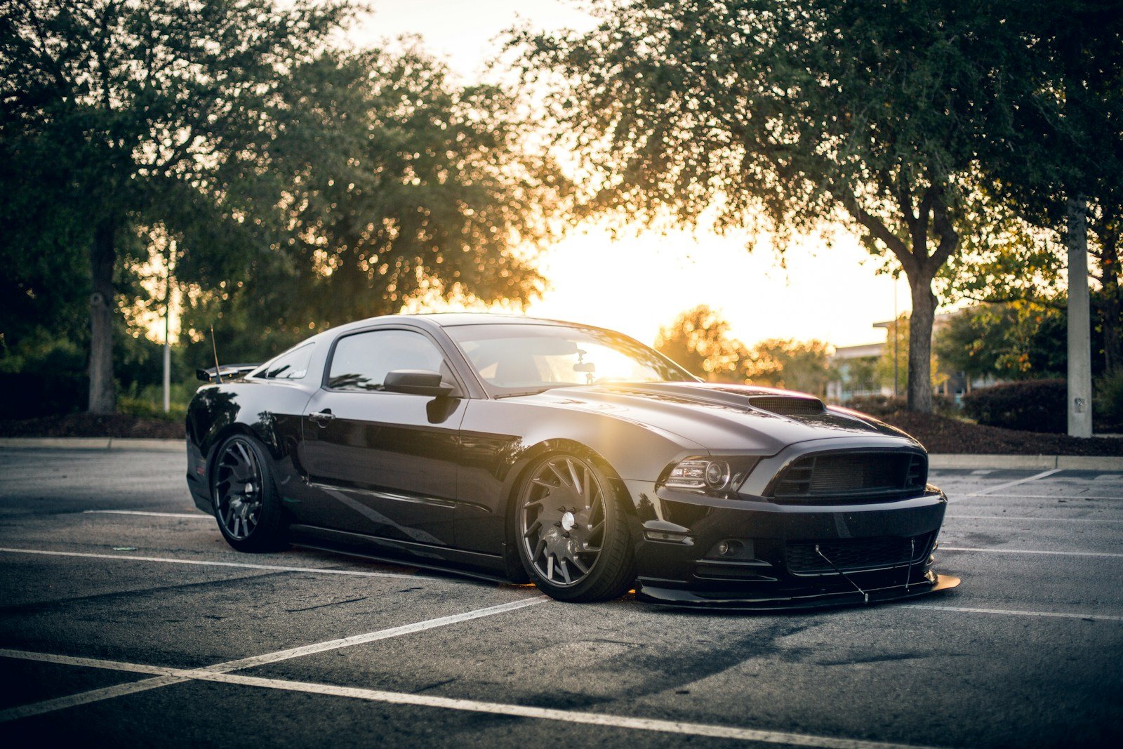 Custom vehicle finish